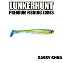 Leurre LUNKERHUNT SWIM BENTO